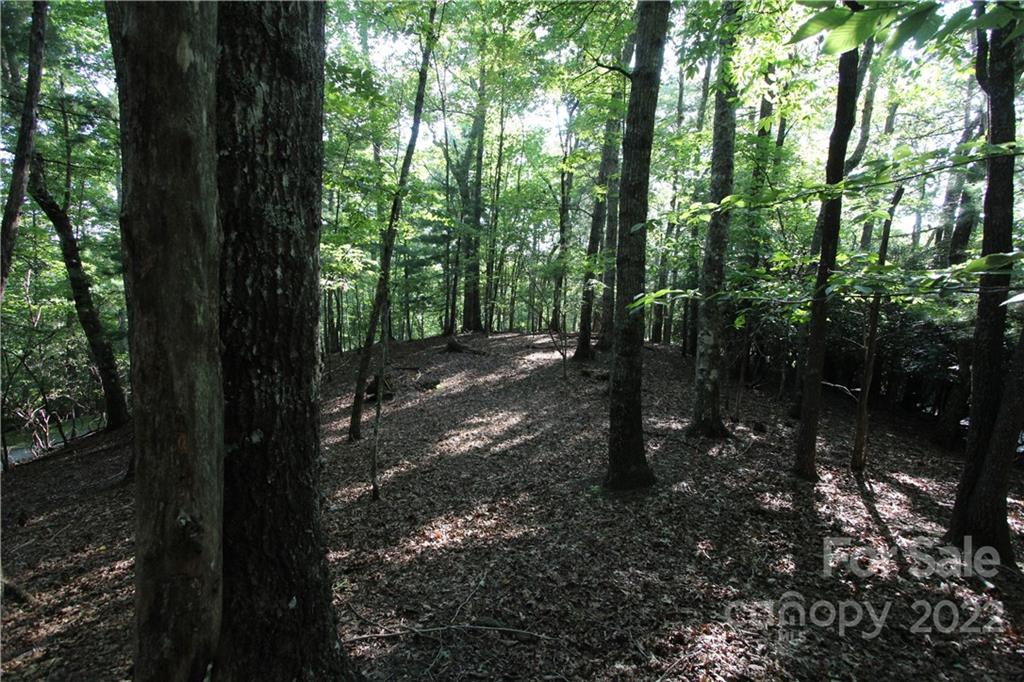 Property image 4 of Tract 32b Kentwood Lane in Blue Ridge Overlook, Pisgah Forest, NC 28768