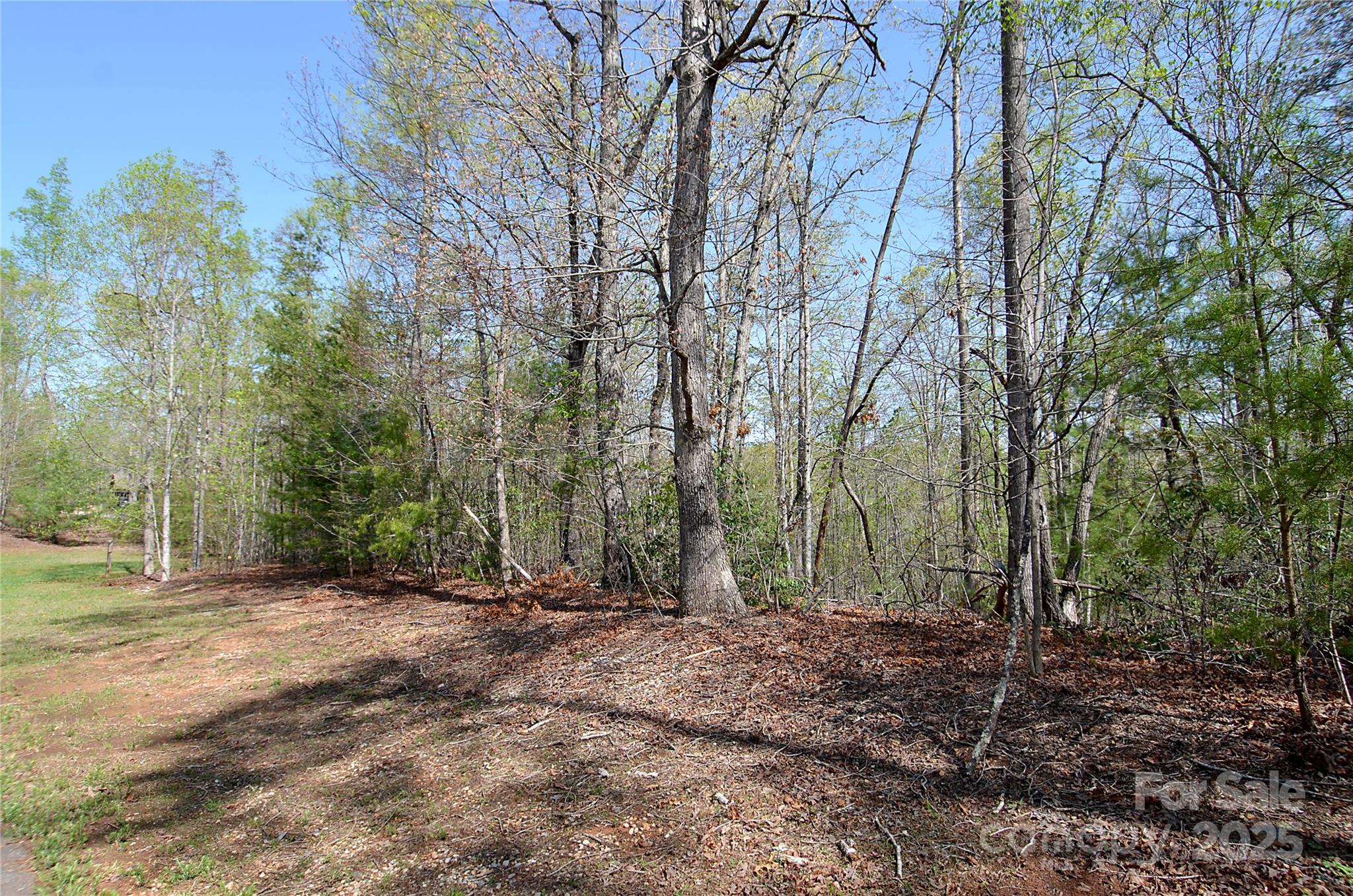 Property image 2 of 00 Forest Country Drive in Forest Heights, Marion, NC 28752