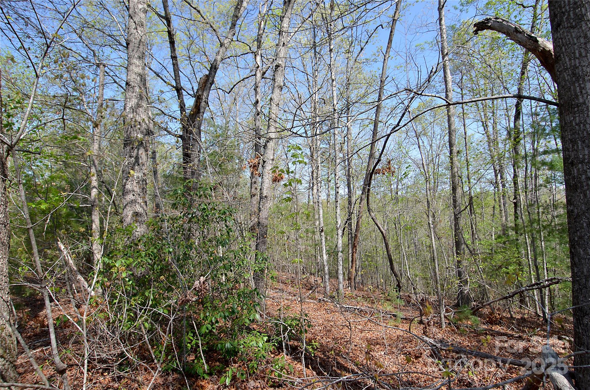 Property image 3 of 00 Forest Country Drive in Forest Heights, Marion, NC 28752