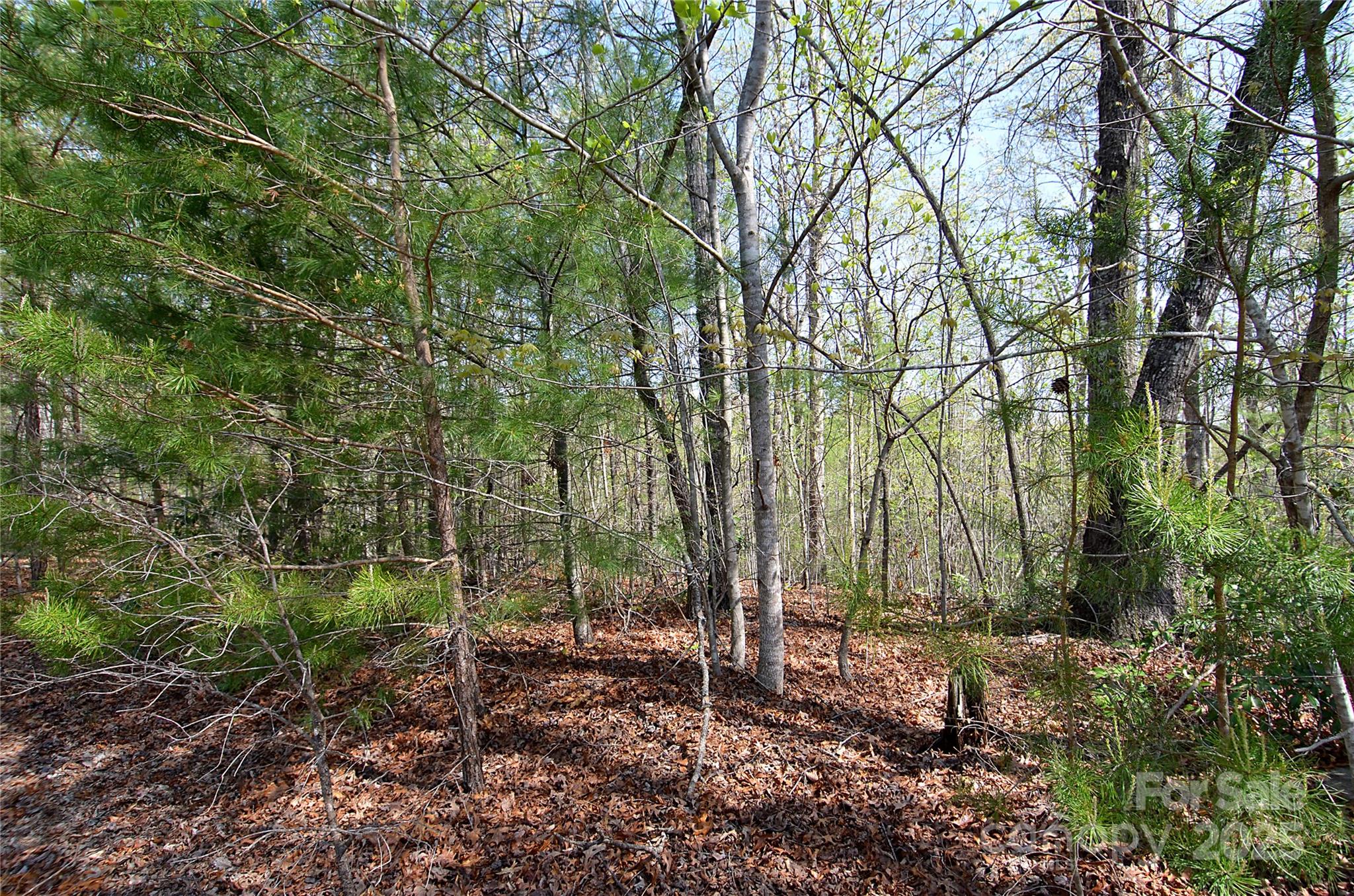 Property image 4 of 00 Forest Country Drive in Forest Heights, Marion, NC 28752