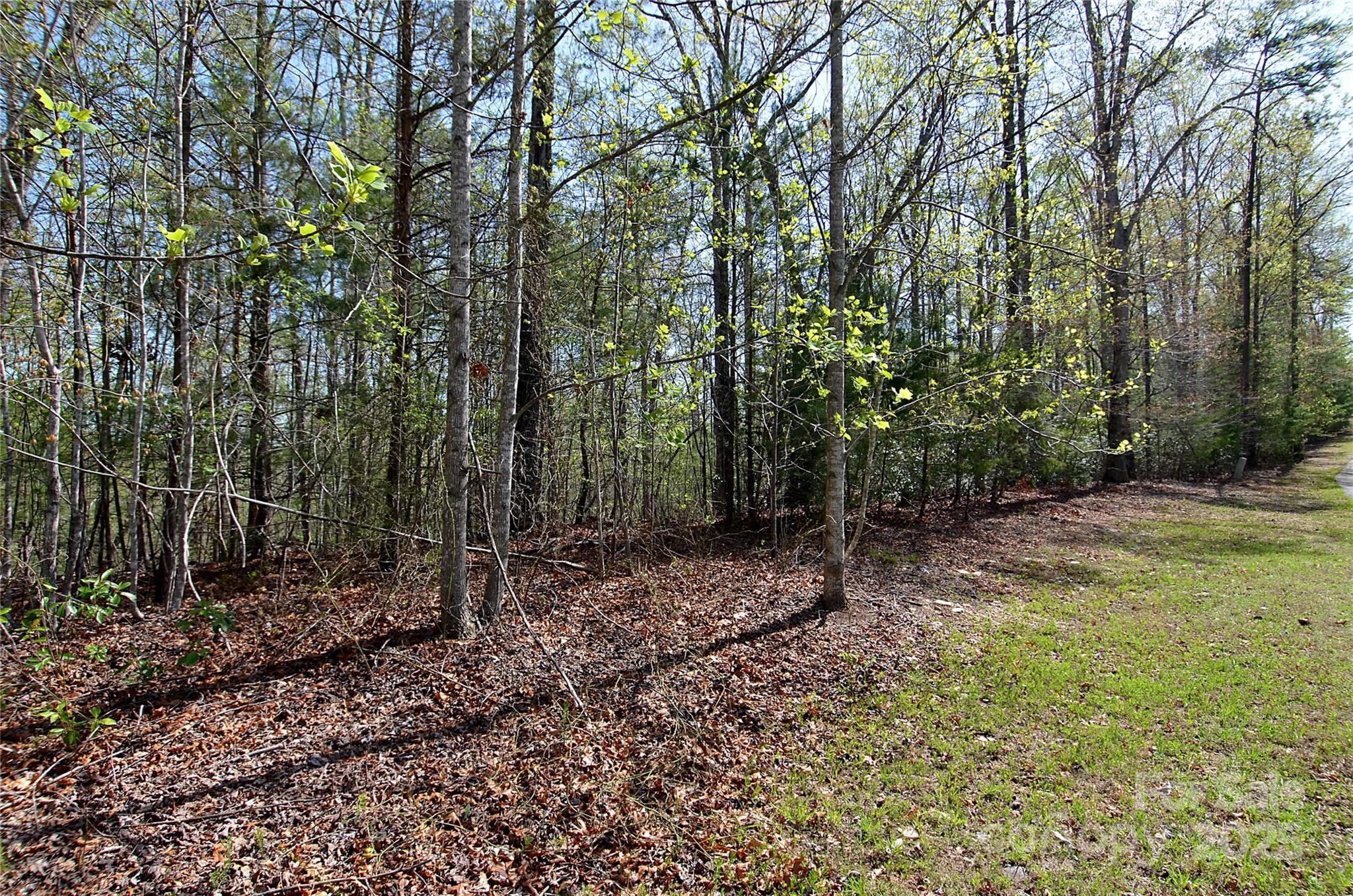 Property image 5 of 00 Forest Country Drive in Forest Heights, Marion, NC 28752