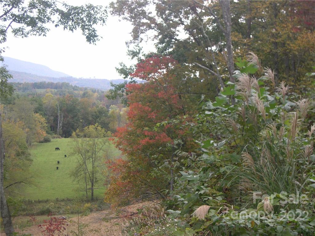 Property image 5 of Tbd Six Springs Ridge Road in Six Springs Ridge, Spruce Pine, NC 28777