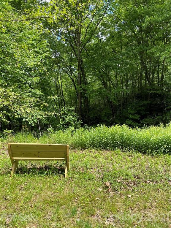 Property image 3 of 208 Gladiola Drive in Thomas Woods, Pisgah Forest, NC 28768