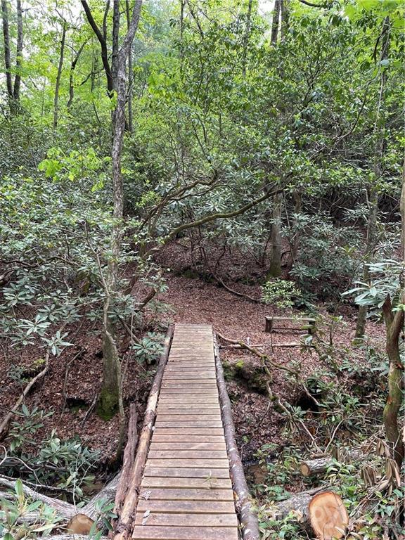 Property image 4 of 208 Gladiola Drive in Thomas Woods, Pisgah Forest, NC 28768