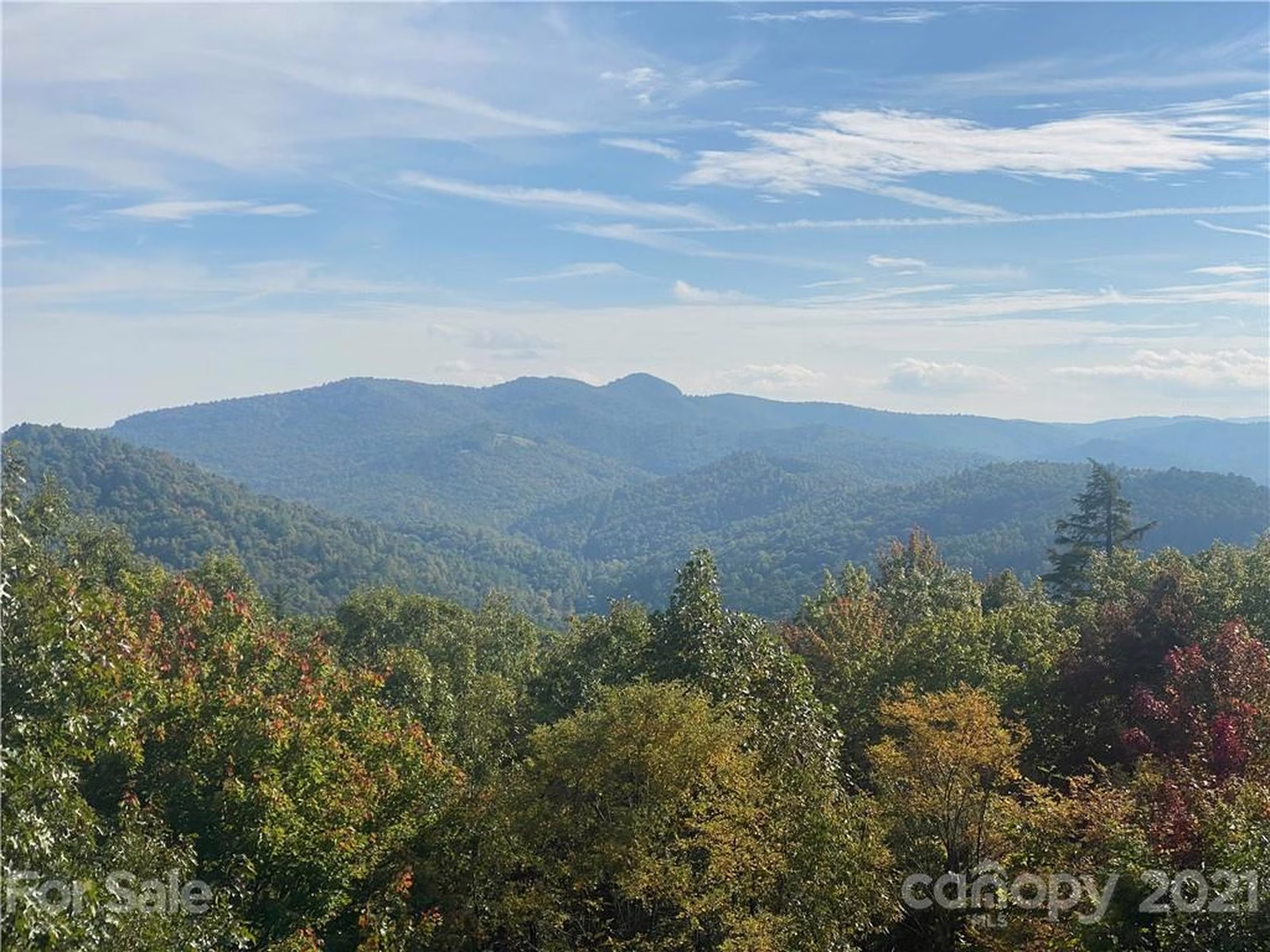 Property image 1 at 866 Pine Tree Road, Spruce Pine, NC 28777