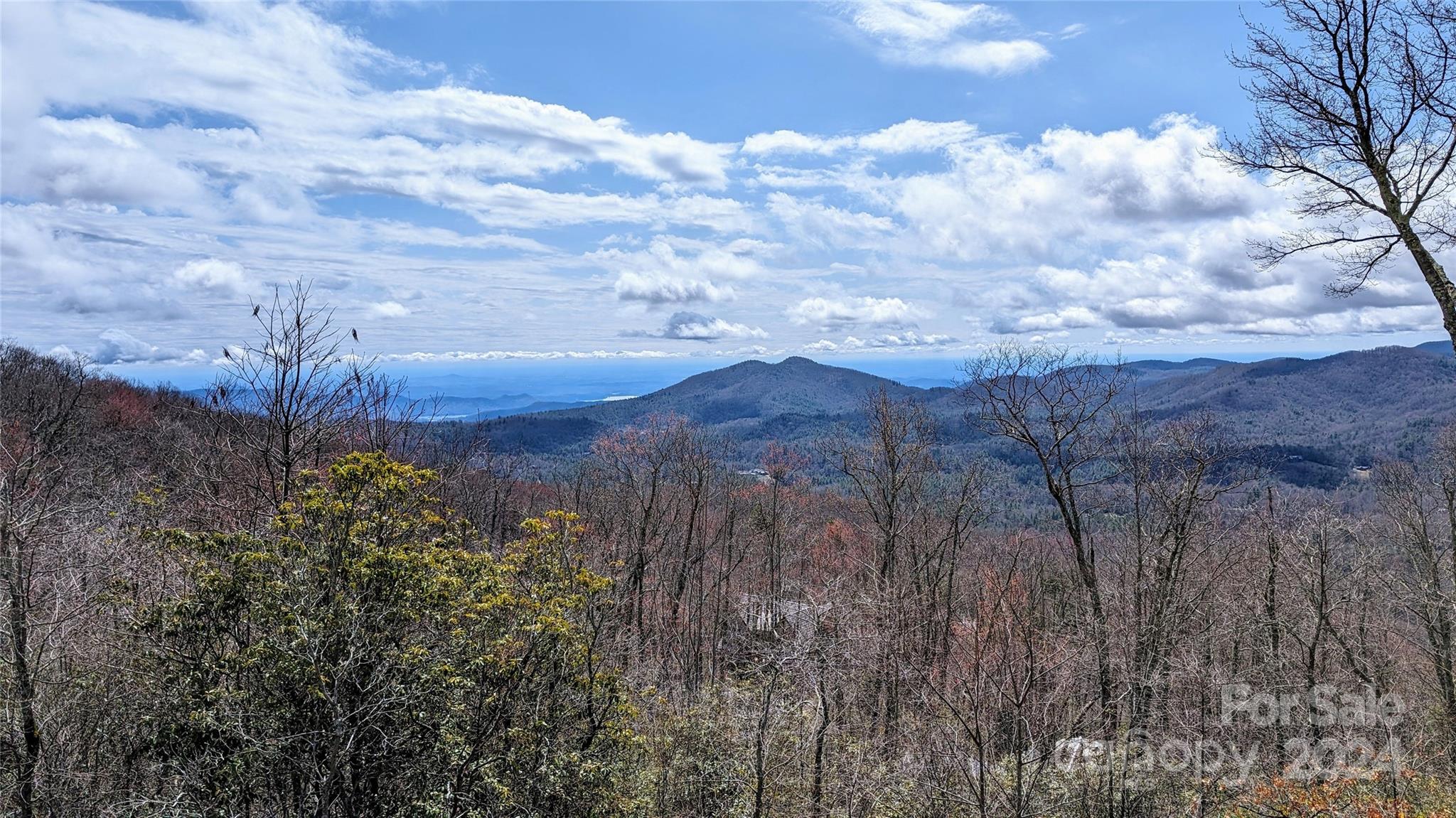 Property image 2 of 18 White Tail Drive in The Preserve at Rock Creek, Sapphire, NC 28774
