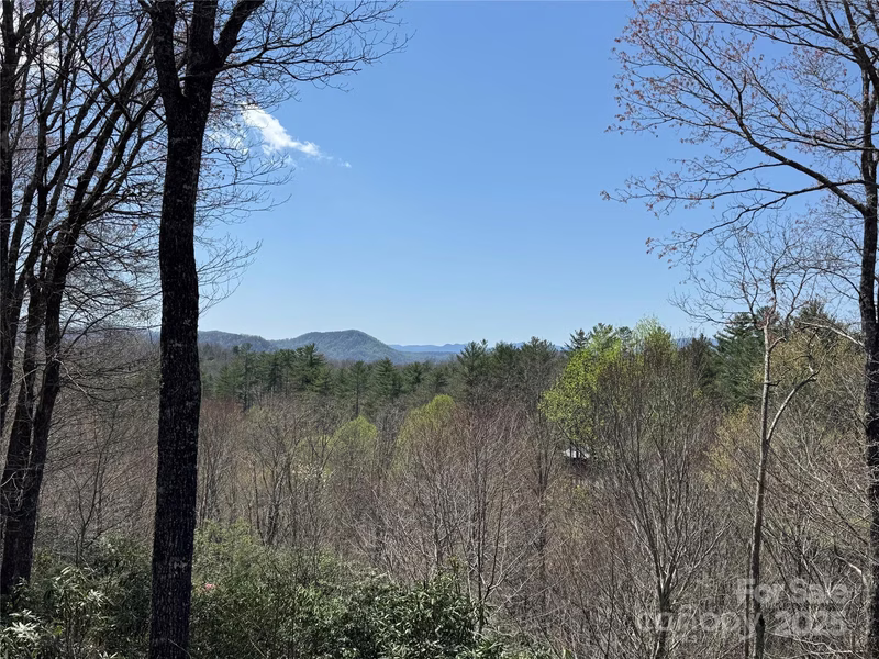 Property image 3 at 193 Dvdisdi Court, Brevard, NC 28712