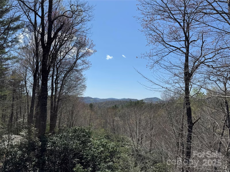 Property image 4 at 193 Dvdisdi Court, Brevard, NC 28712