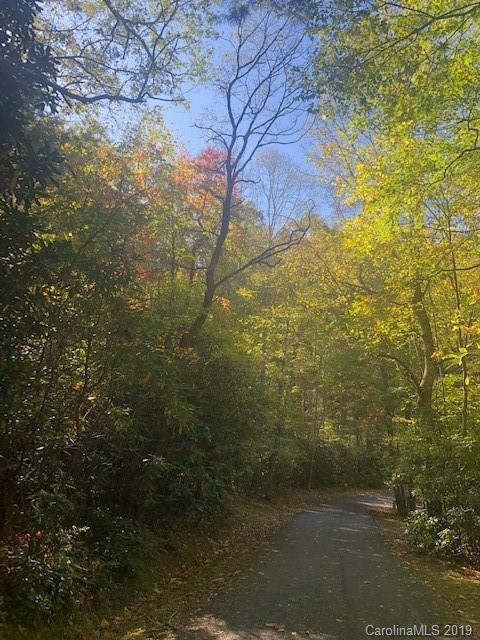 Property image 4 of 0000 Spring Road in Swiss Pine Lake, Spruce Pine, NC 28777