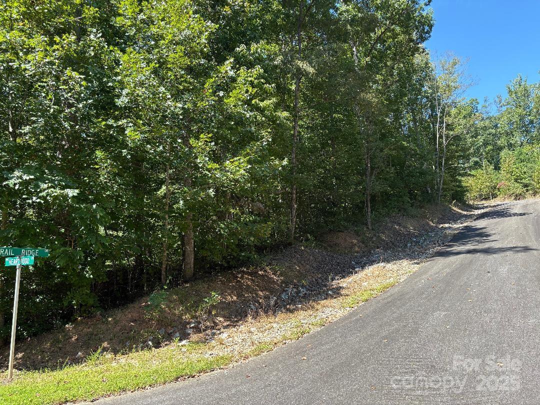 Property image 3 of Lot 119 Trail Ridge Drive in Forest Heights, Marion, NC 28752