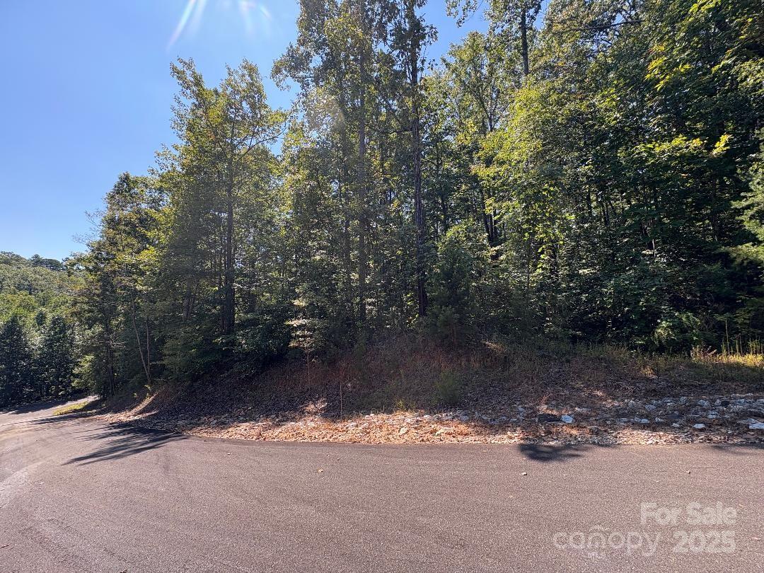 Property image 5 of Lot 119 Trail Ridge Drive in Forest Heights, Marion, NC 28752