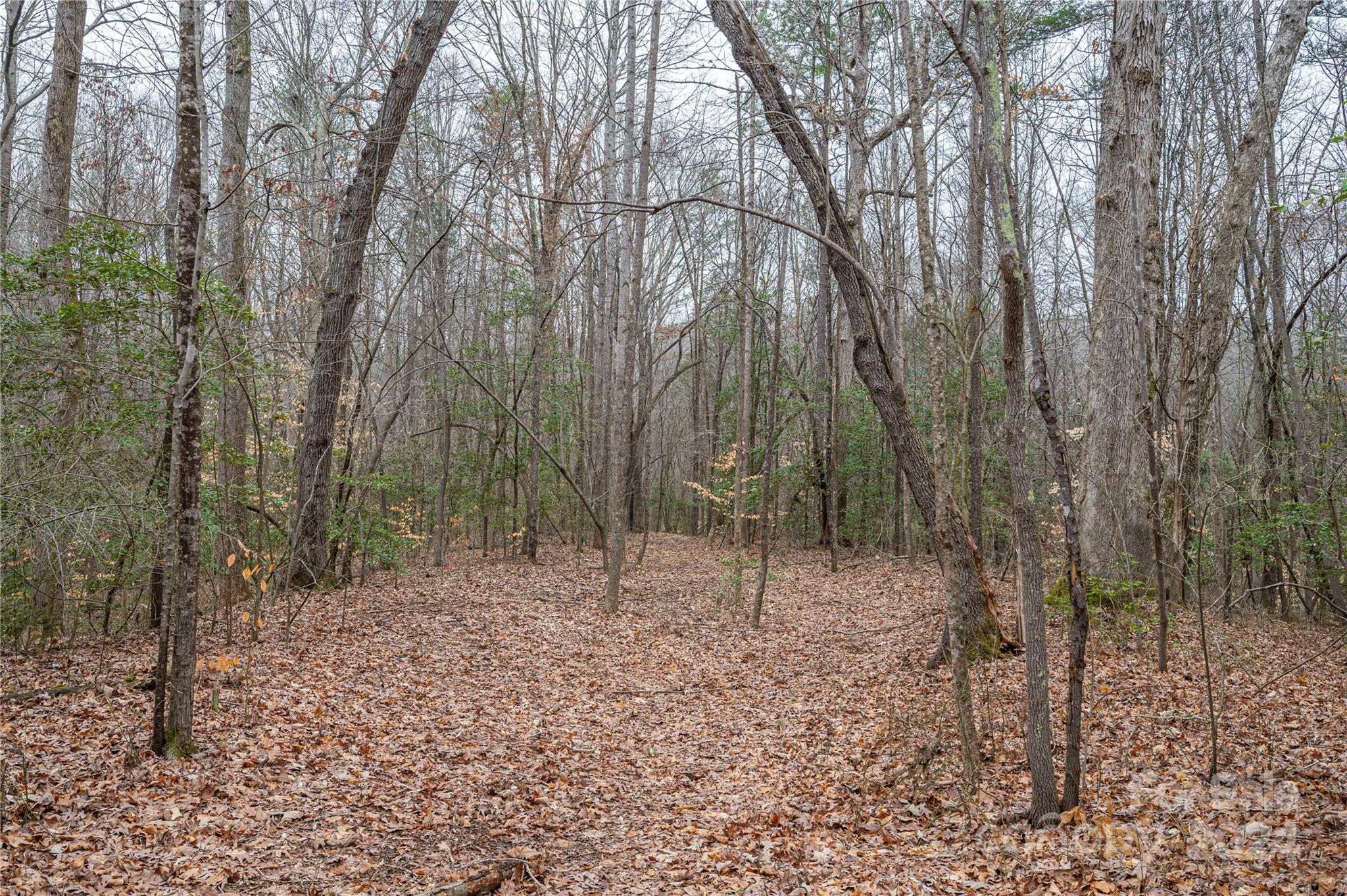 Property image 4 of 5033 Grassy Creek Road in The Preserve at Grassy Creek, Denver, NC 28037