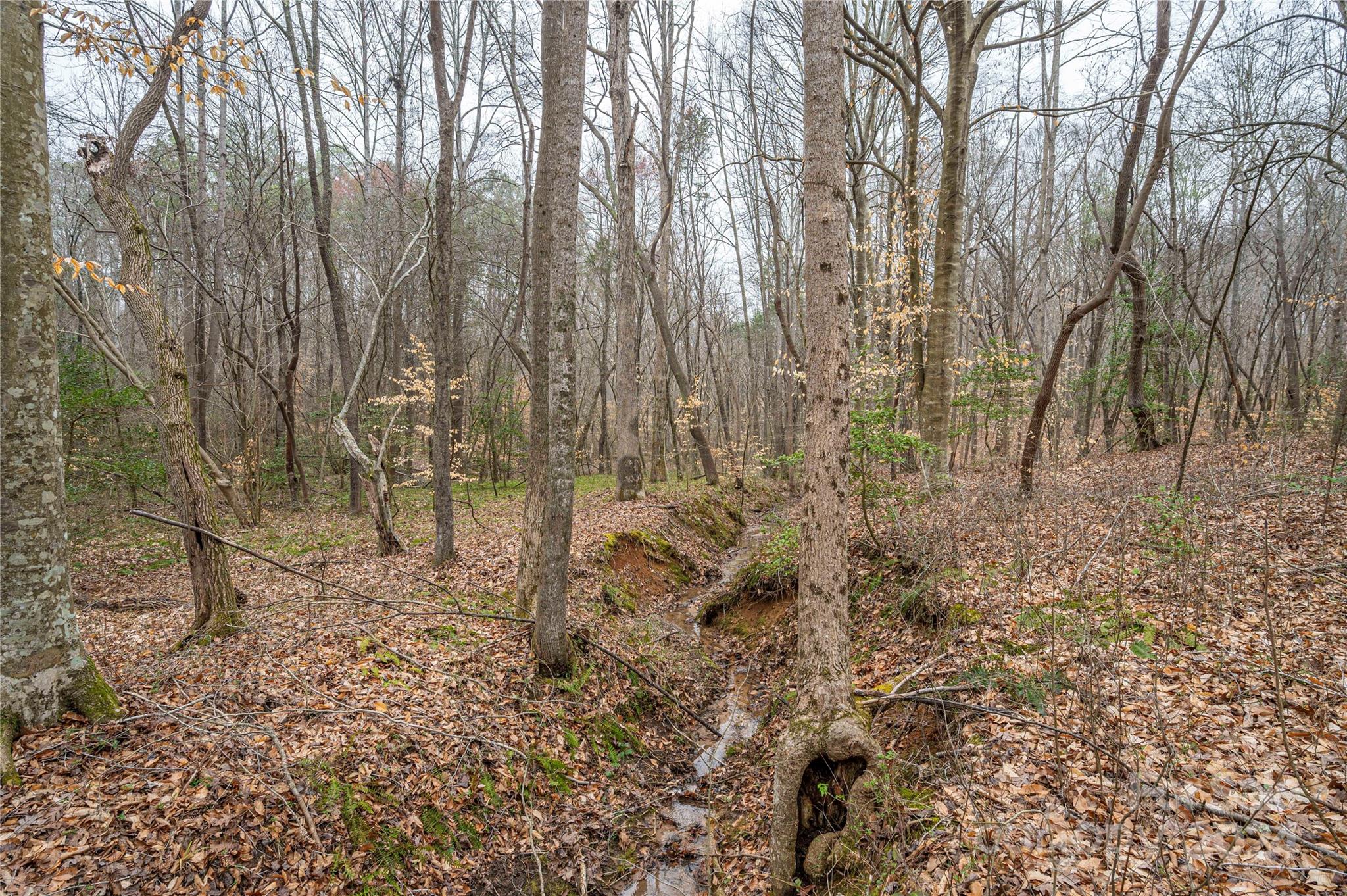 Property image 5 of 5033 Grassy Creek Road in The Preserve at Grassy Creek, Denver, NC 28037