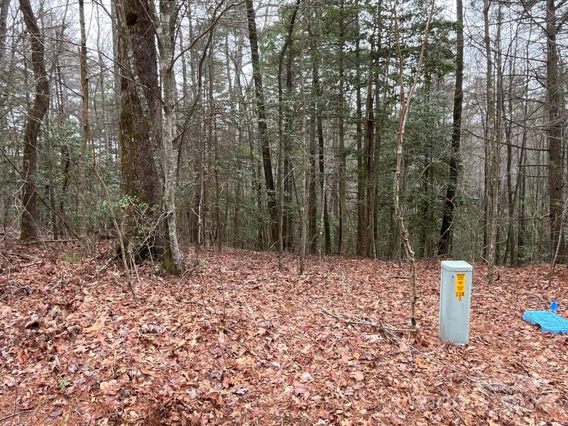 9999 Upper Whitewater Road