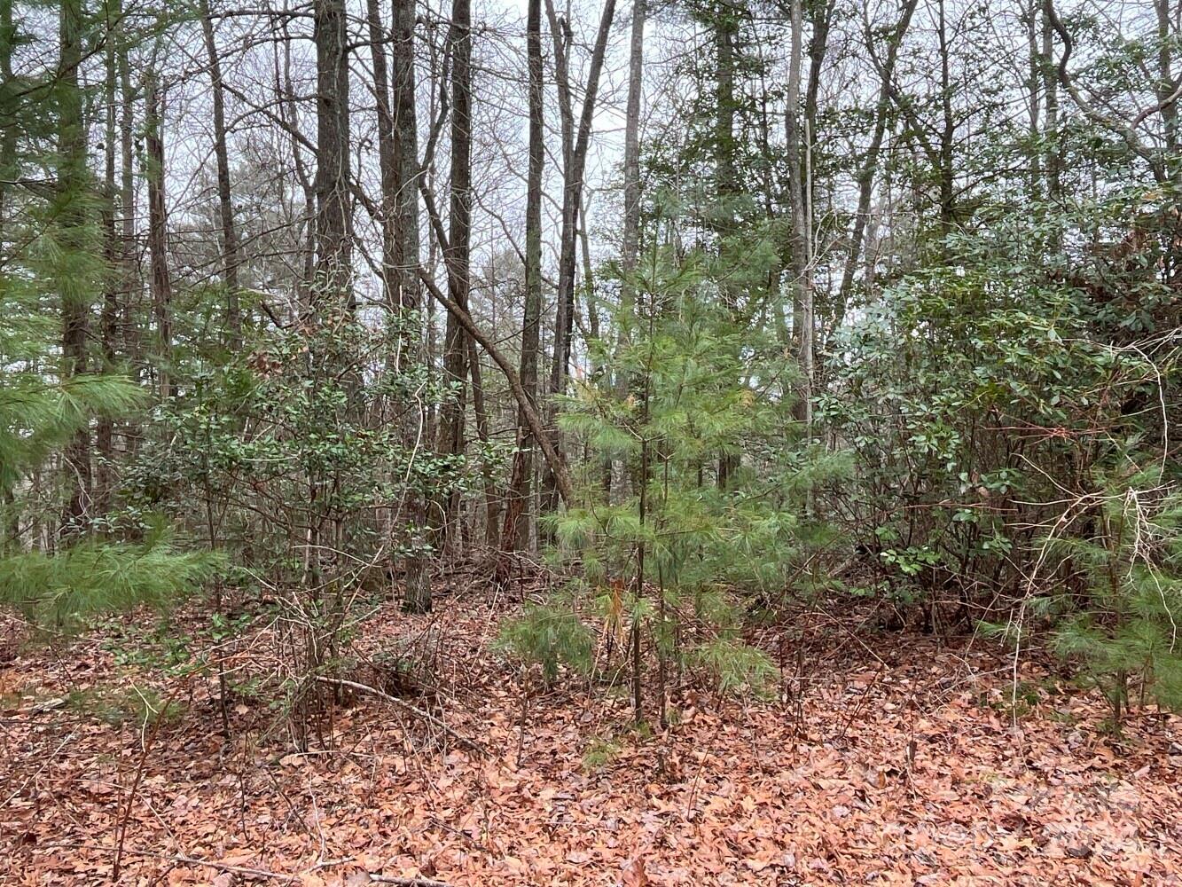 Property image 2 of 9999 Upper Whitewater Road in Whisper Lake, Sapphire, NC 28774