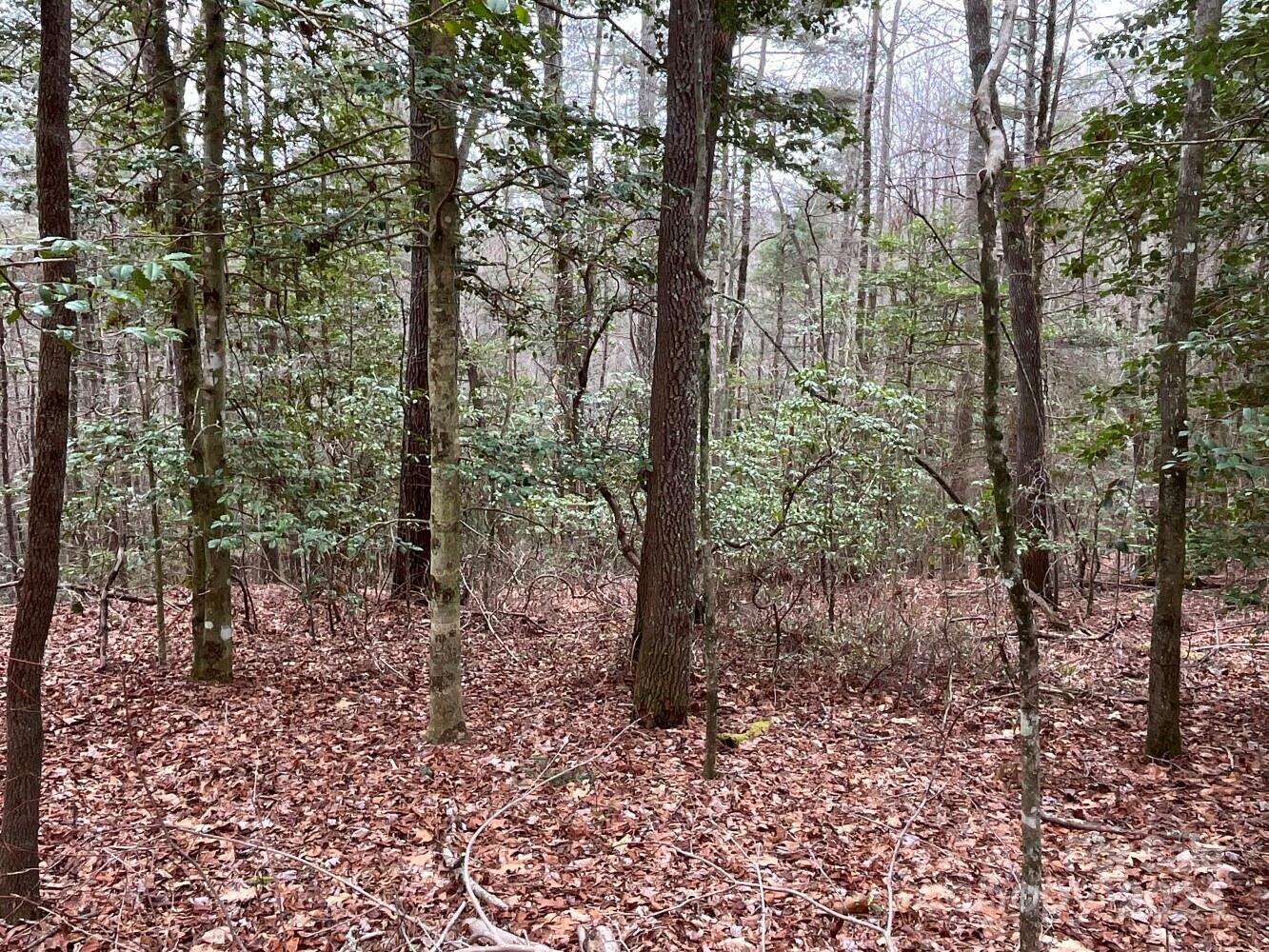Property image 3 of 9999 Upper Whitewater Road in Whisper Lake, Sapphire, NC 28774