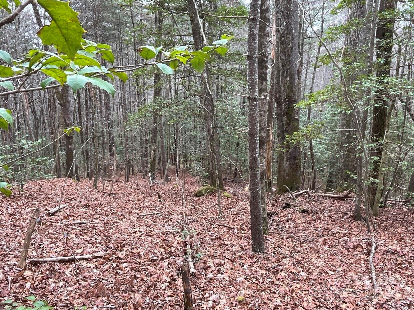 Property image 4 of 9999 Upper Whitewater Road in Whisper Lake, Sapphire, NC 28774