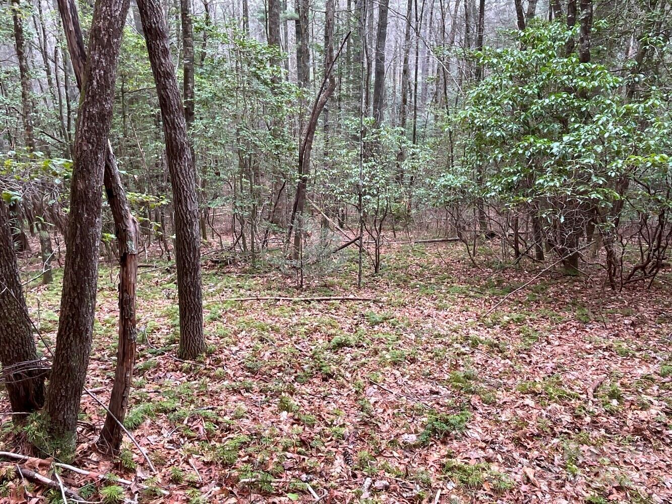 Property image 5 of 9999 Upper Whitewater Road in Whisper Lake, Sapphire, NC 28774
