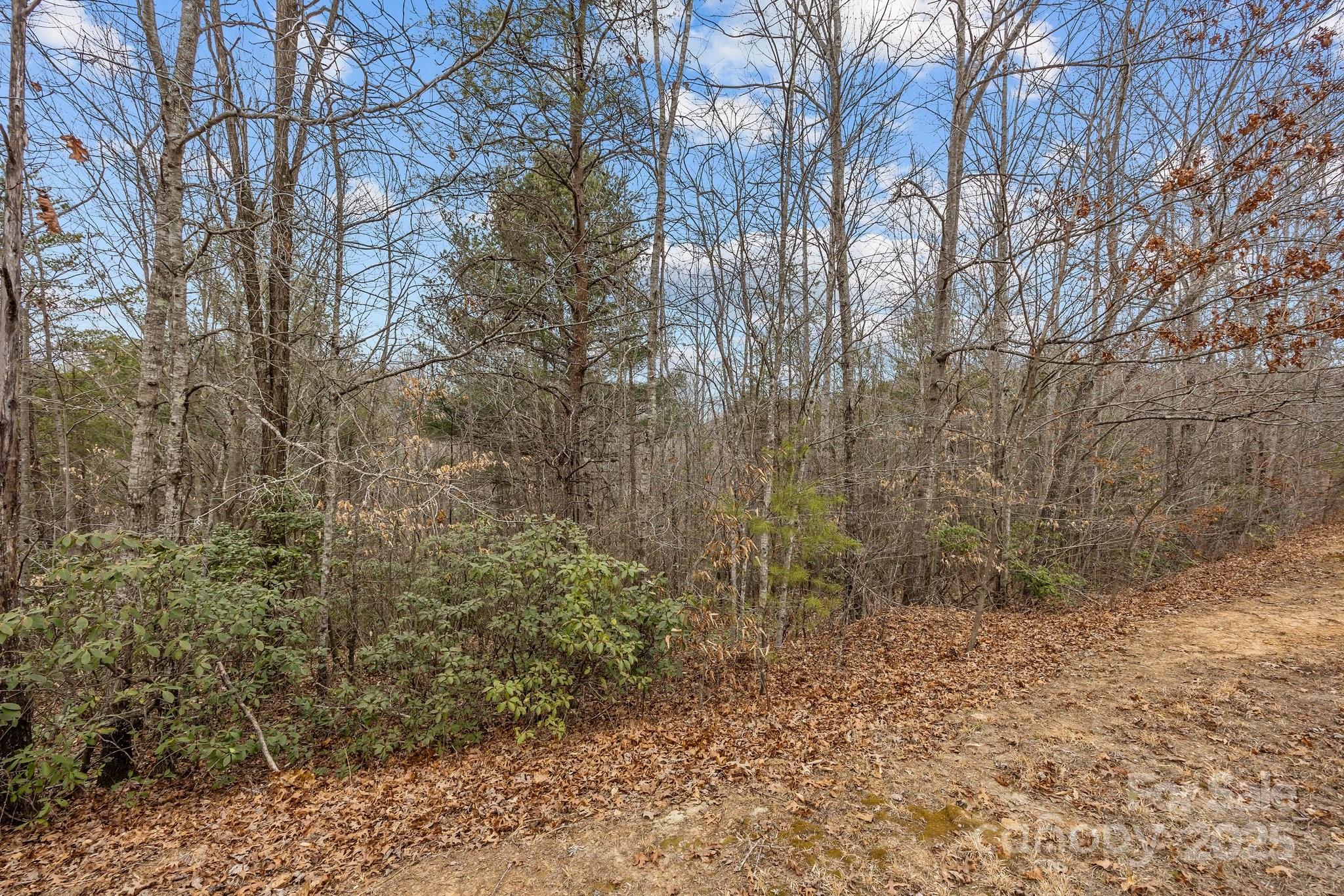 Property image 4 of Lot 105 Glenhaven Drive in Glenhaven, Marion, NC 28752