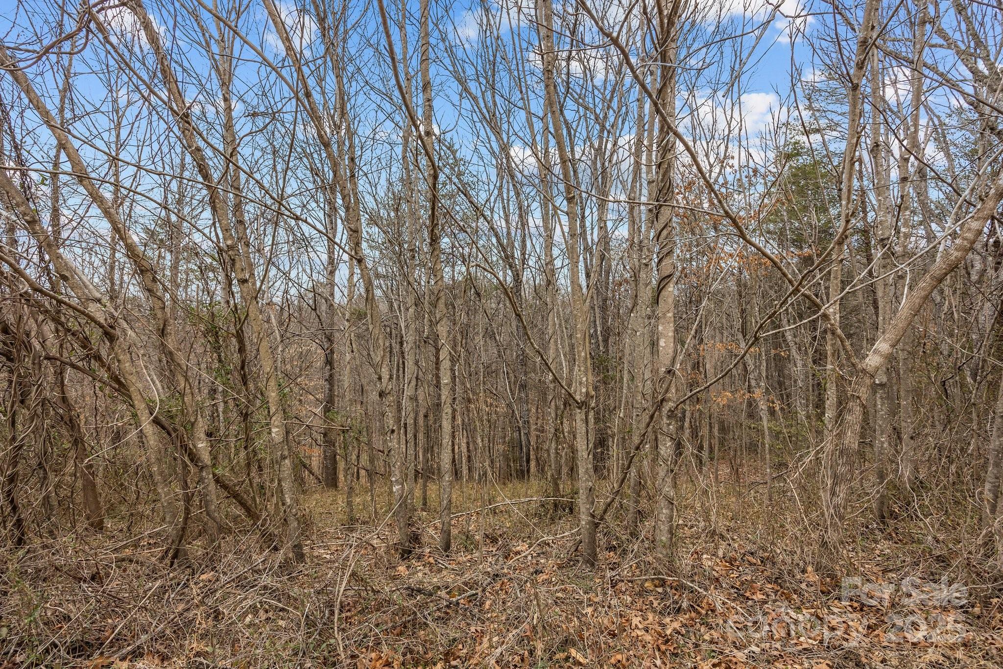 Property image 4 of Lot 103 Glenhaven Drive in Glenhaven, Marion, NC 28752