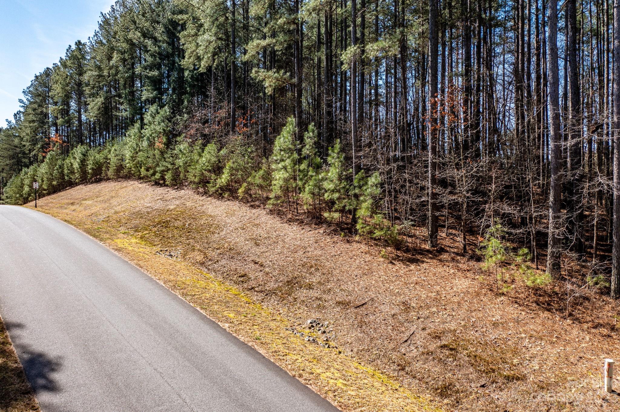 Property image 3 of 6063 Plantation Pointe Drive in Plantation Pointe, Granite Falls, NC 28630