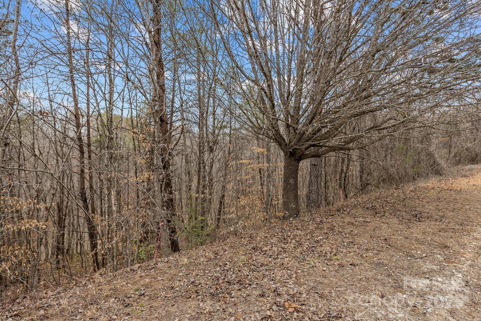 Property image 3 of Lot 102 Glenhaven Drive in Glenhaven, Marion, NC 28752
