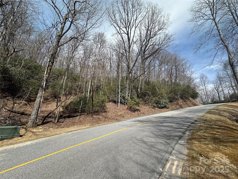 Connestee Trail