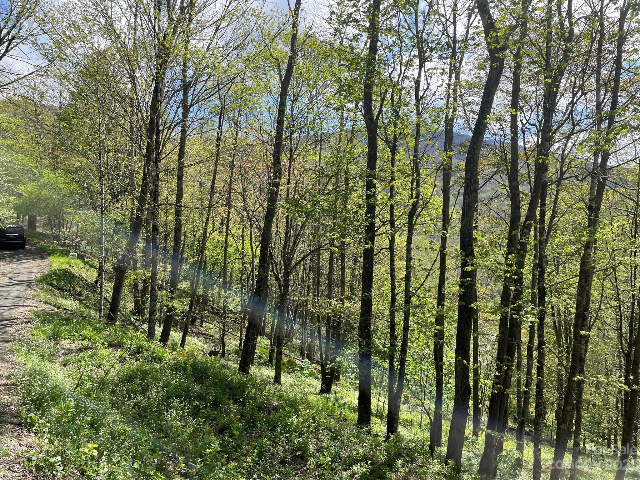 Property image 3 of 000 Peregrine Lane in Valley of Roan, Bakersville, NC 28705