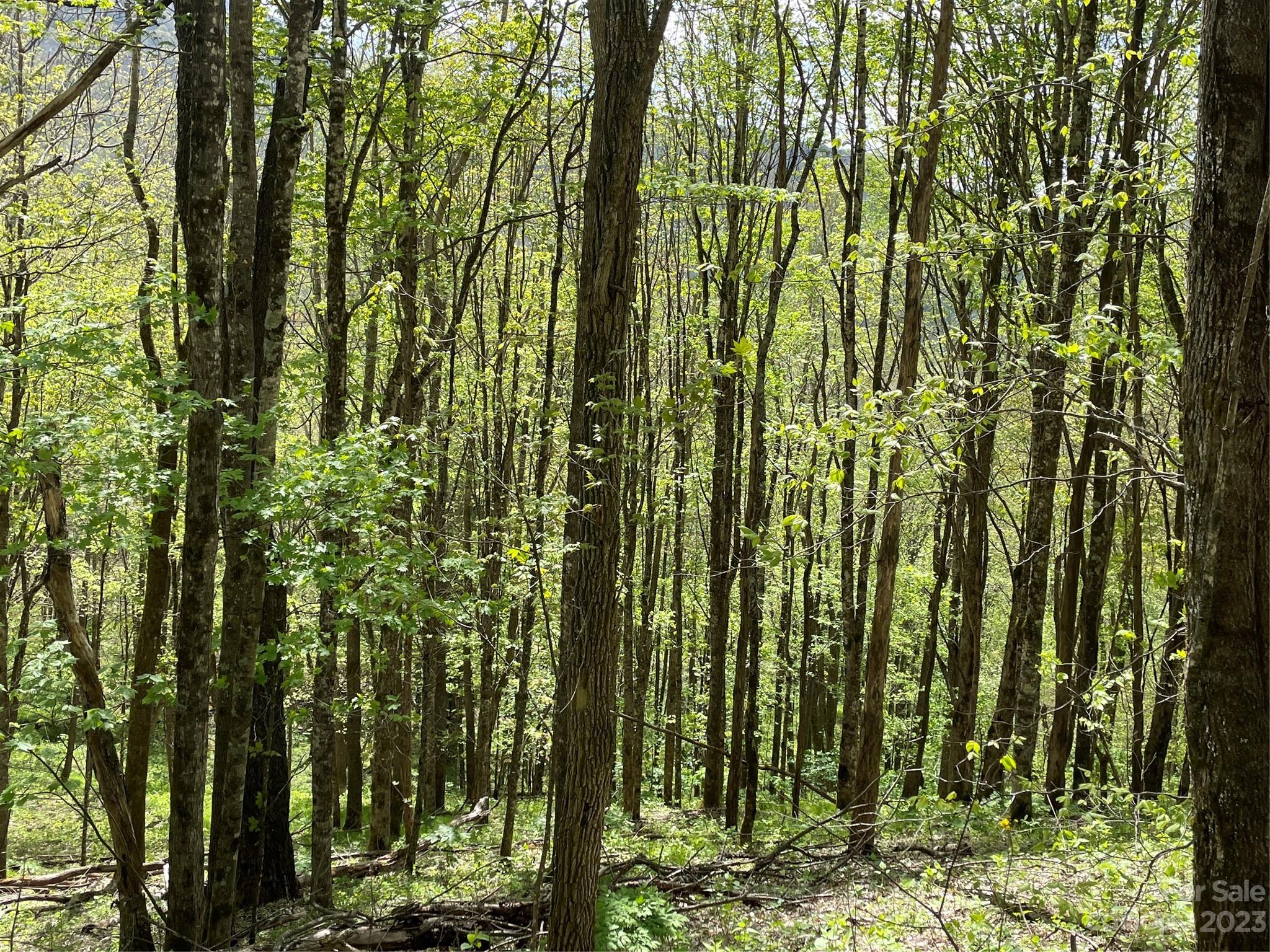 Property image 4 of 000 Peregrine Lane in Valley of Roan, Bakersville, NC 28705