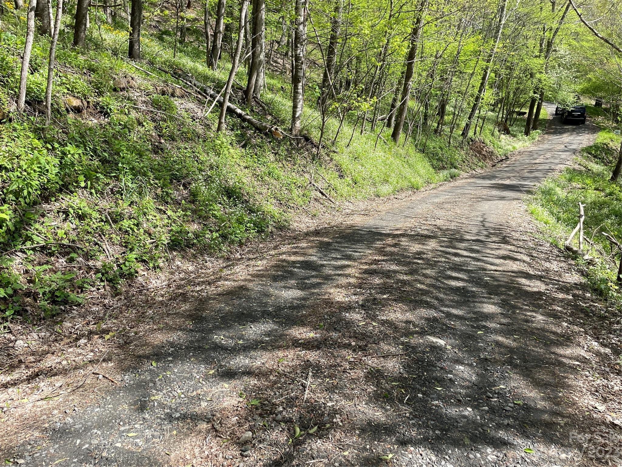 Property image 5 of 000 Peregrine Lane in Valley of Roan, Bakersville, NC 28705