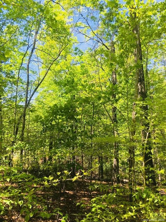 Property image 2 of 407 Heartwood Drive in Forest Heights, Marion, NC 28752
