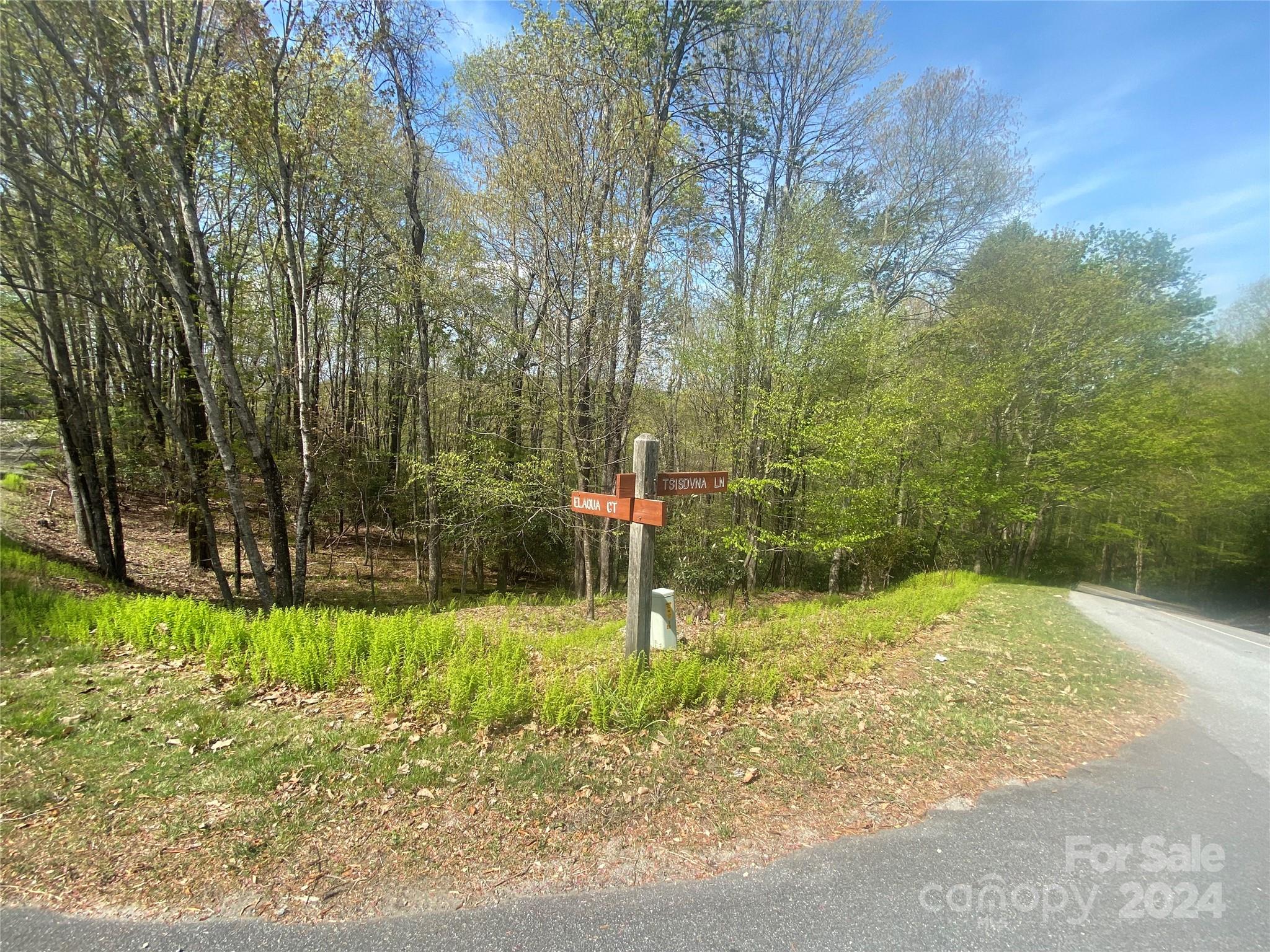 Property image 5 of Tbd Elaqua Court in Connestee Falls, Brevard, NC 28712
