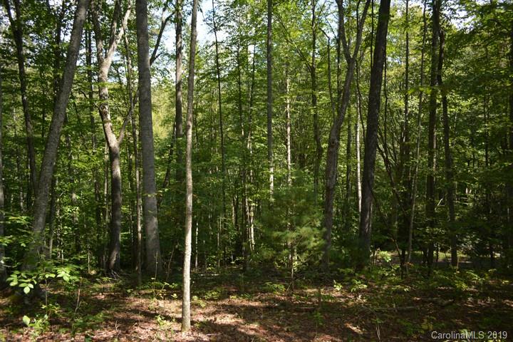 Property image 3 of 1215 Rebels Creek Road in High Cove, Bakersville, NC 28705