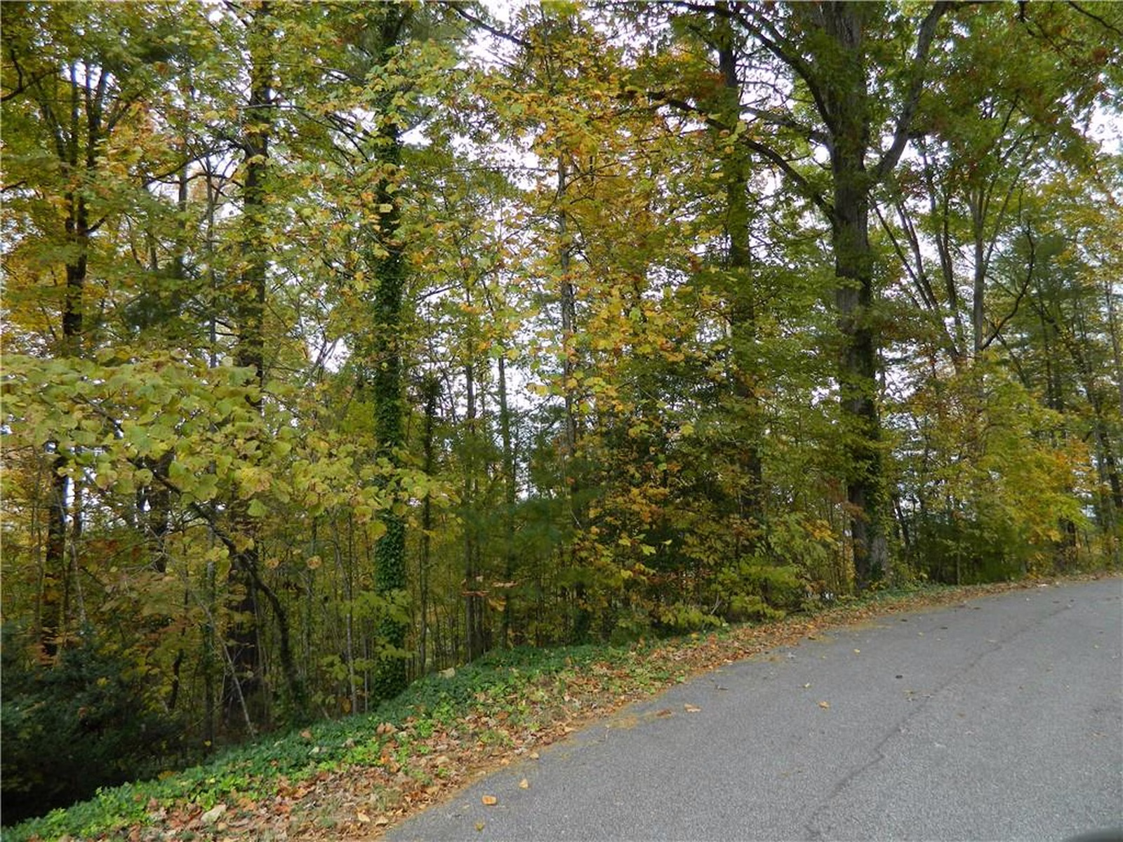 Property image 1 at 00 Deerfield Street, Lenoir, NC 28645