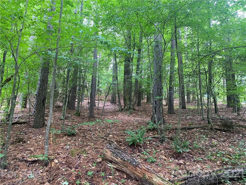 Property image 3 at 6140 Plantation Pointe Drive, Granite Falls, NC 28630