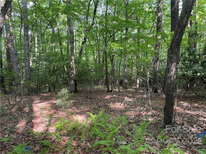 Property image 2 at 235 Ravenwood Lane, Horse Shoe, NC 28742