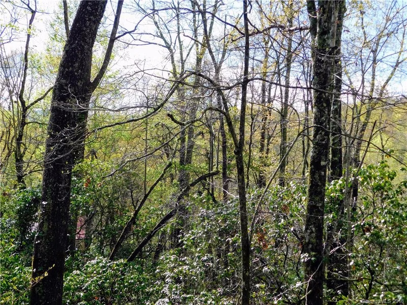 L25r Pisgah Forest Drive