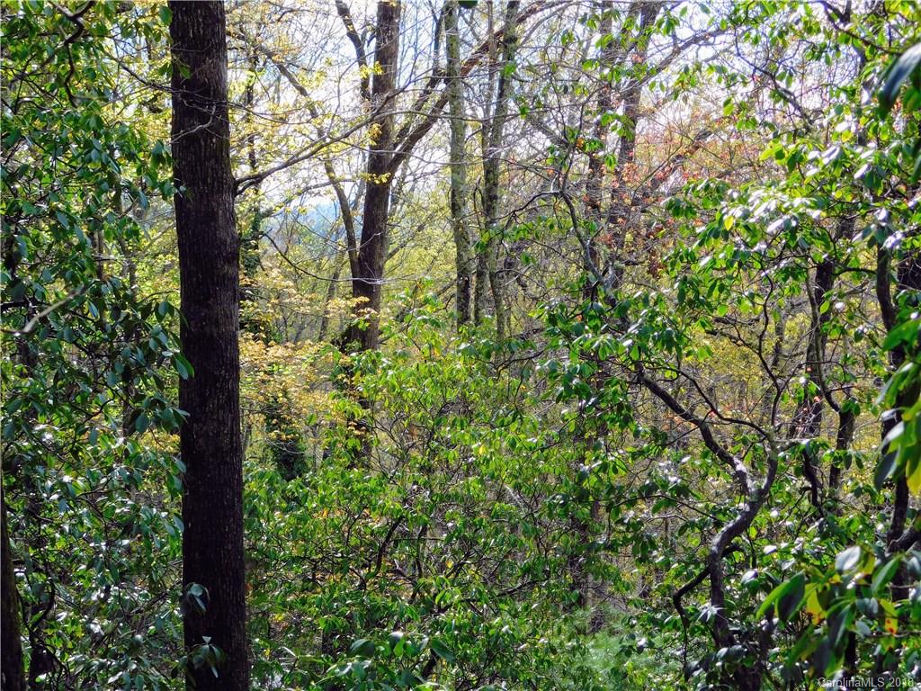 Property image 2 of L25r Pisgah Forest Drive in Pisgah Forest Farms, Pisgah Forest, NC 28768