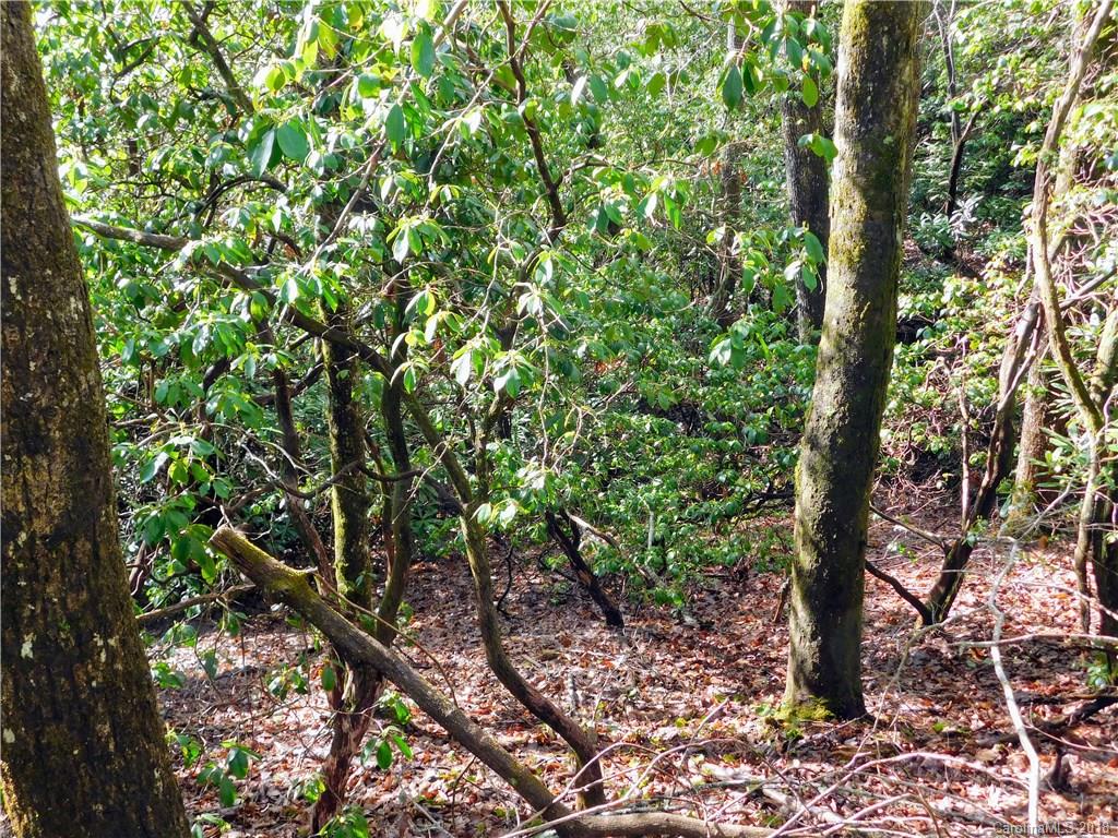 Property image 3 of L25r Pisgah Forest Drive in Pisgah Forest Farms, Pisgah Forest, NC 28768