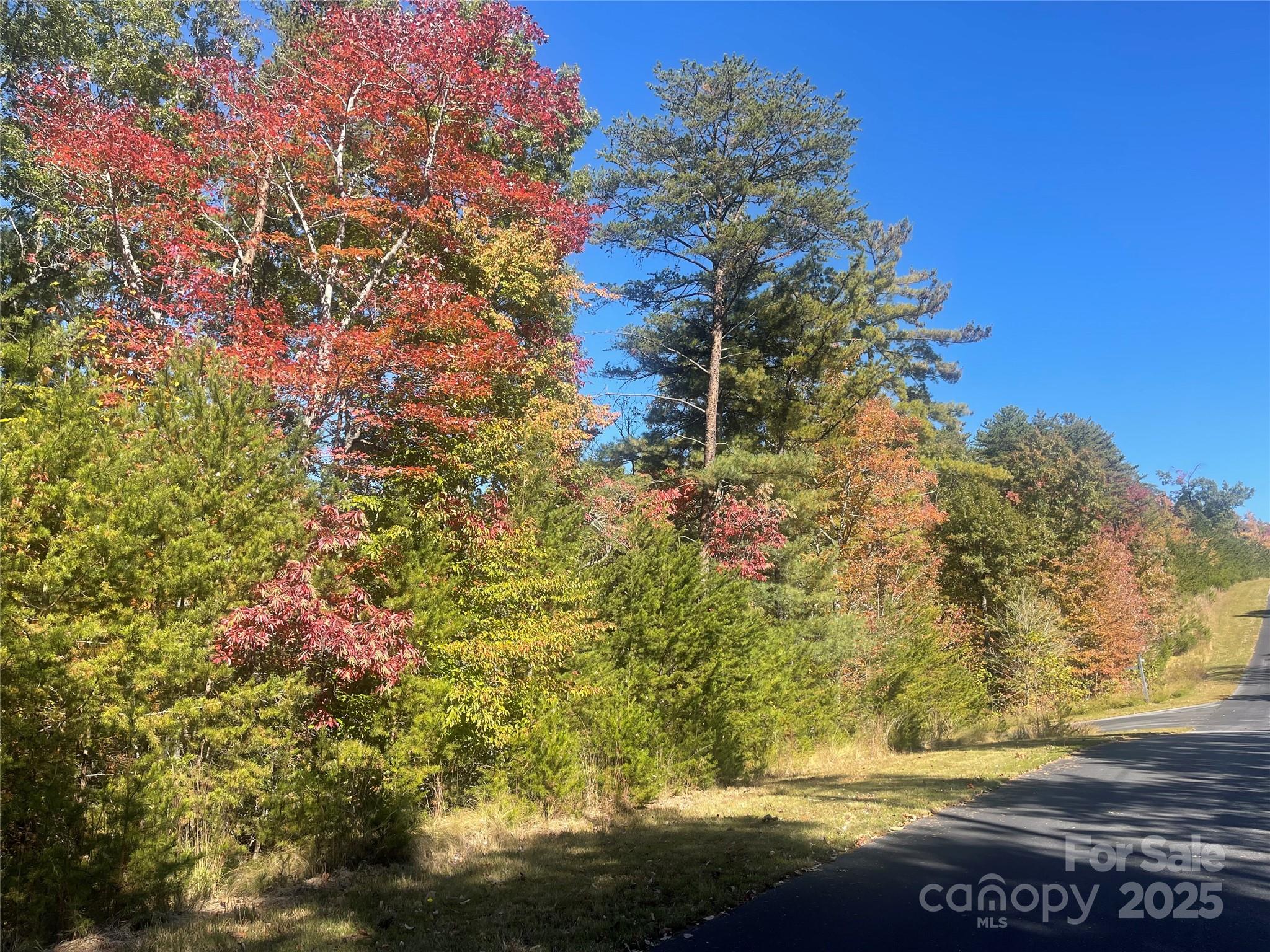 Property image 3 of Lot 46 Bald Eagle Lane in Lakewood, Marion, NC 28752