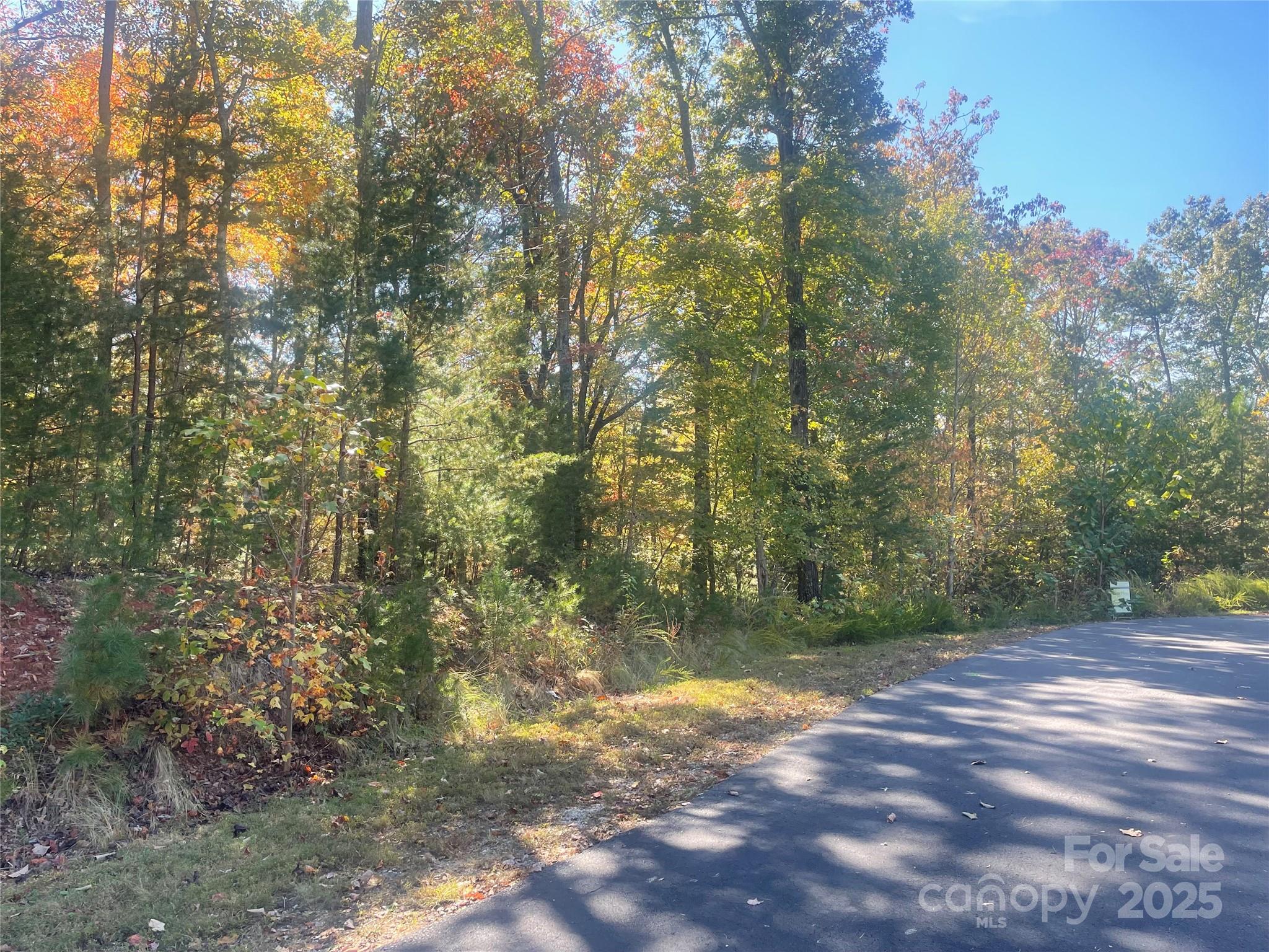 Property image 4 of Lot 46 Bald Eagle Lane in Lakewood, Marion, NC 28752