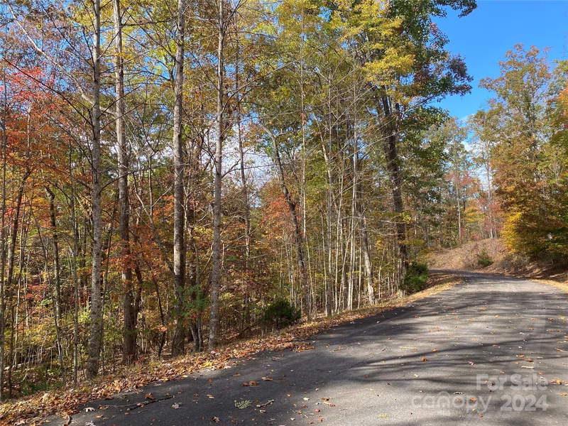Property image 3 at Lot 15 Song Sparrow Drive, Marion, NC 28752