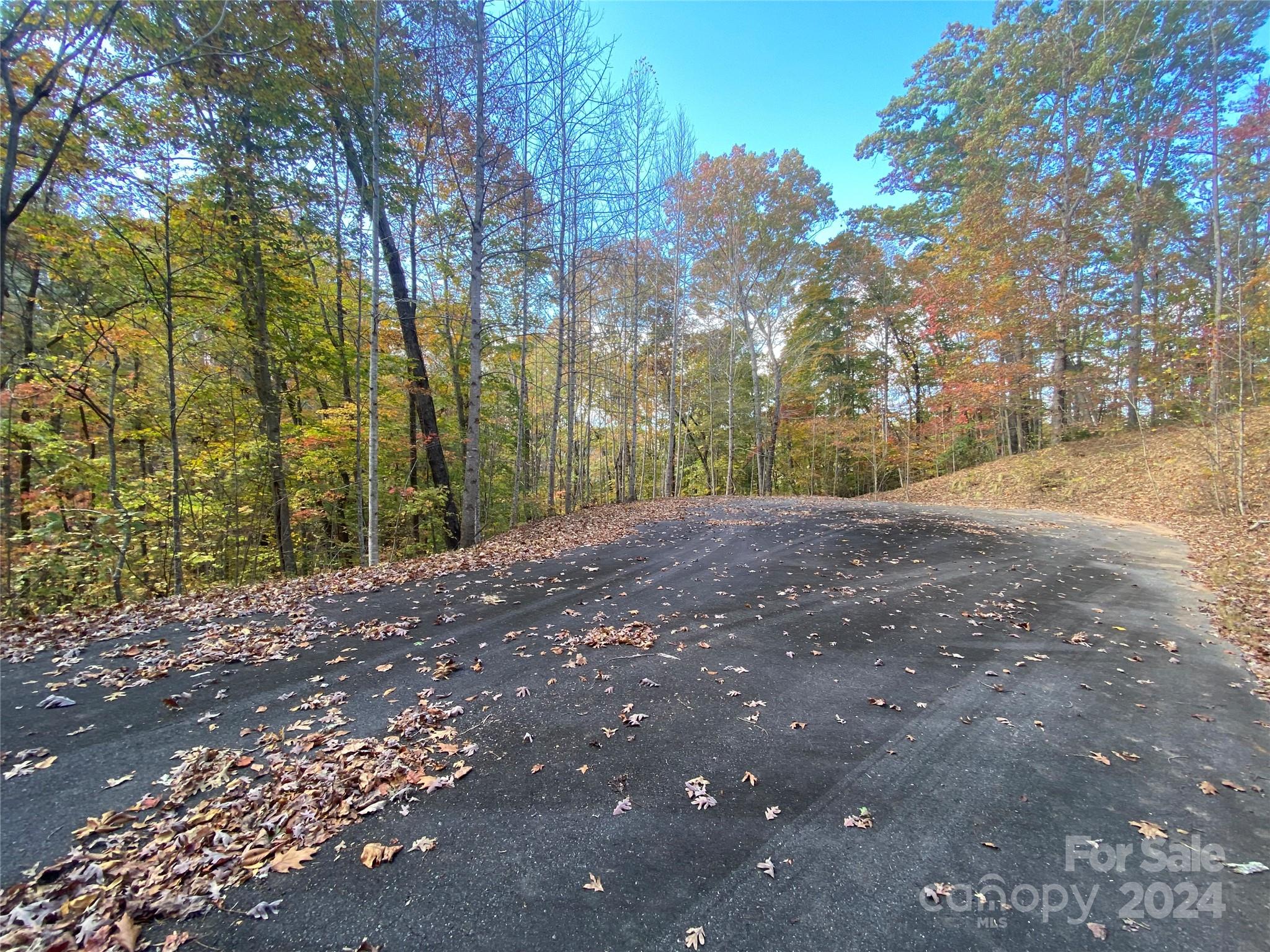 Property image 4 of Lot 15 Song Sparrow Drive in Forest Heights, Marion, NC 28752