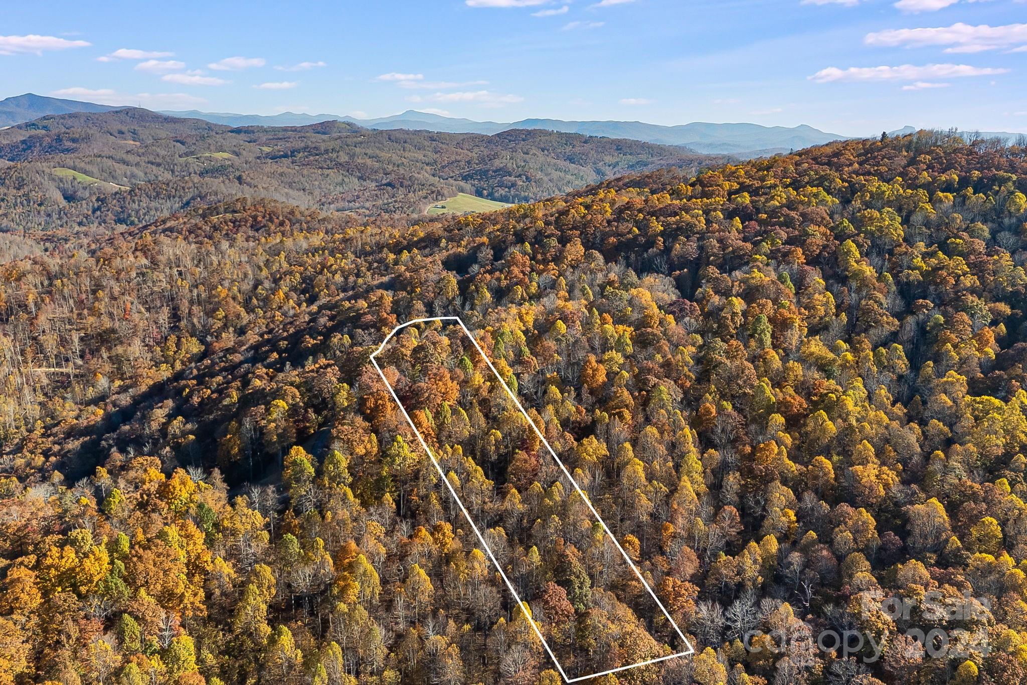 Property image 2 of 103 Alderfly Court in Mountain Brook Estates, Spruce Pine, NC 28777