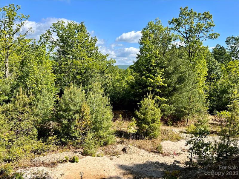 Lot 3a Forest Park Road