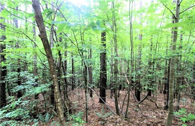 Property image 2 of 16 Chasewood Drive in Deer Run at Lake Lure, Rutherfordton, NC 28139