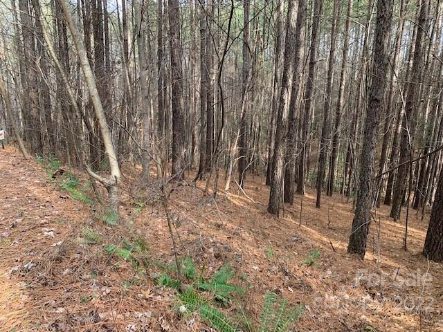 Property image 3 of 16 Chasewood Drive in Deer Run at Lake Lure, Rutherfordton, NC 28139