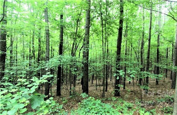 Property image 4 of 16 Chasewood Drive in Deer Run at Lake Lure, Rutherfordton, NC 28139