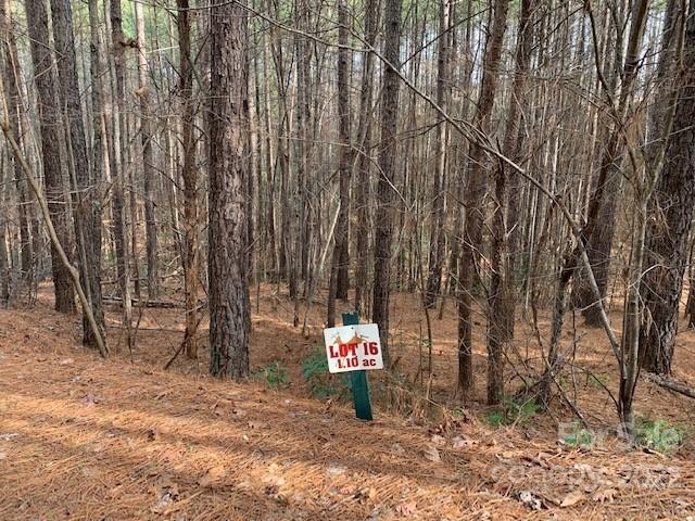 Property image 5 of 16 Chasewood Drive in Deer Run at Lake Lure, Rutherfordton, NC 28139