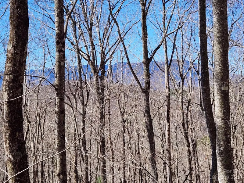 Property image 4 at 00 Rainbow Trout Drive, Spruce Pine, NC 28777